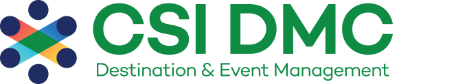 CSI DMC